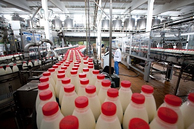 Объем реализации молока в сельхозорганизациях вырос на 6%