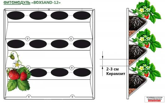 Фитомодуль  BOXSAND-12