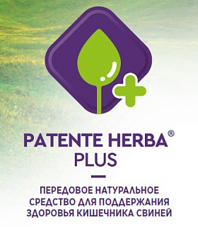 Patente Herba +